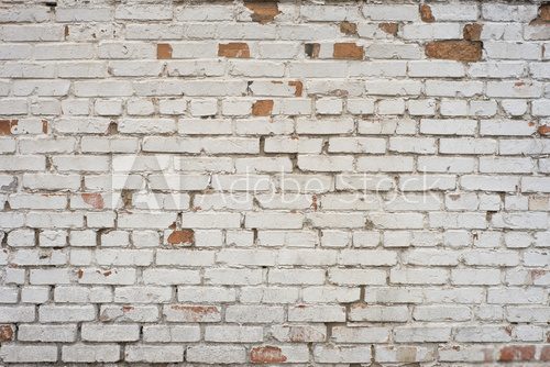 Fototapeta White brick wall texture