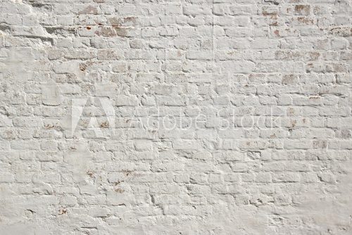 Fototapeta White grunge brick wall background