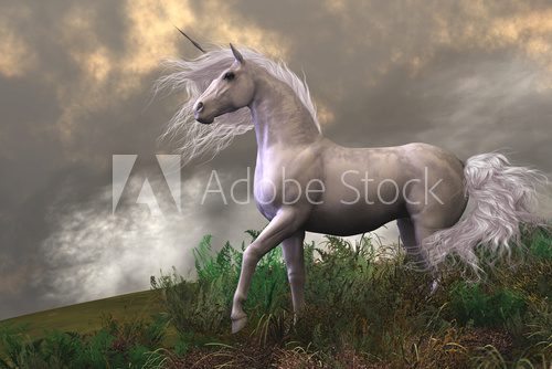 Fototapeta White Unicorn Stallion