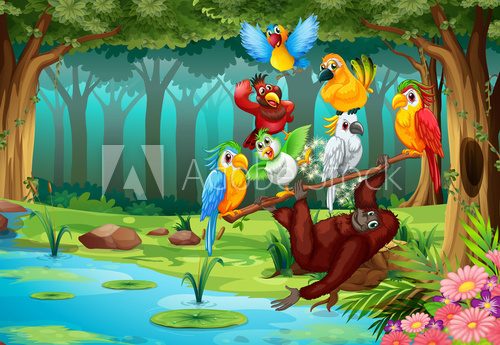 Fototapeta Wild animals in the forest