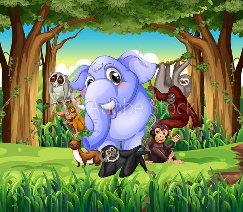 Fototapeta Wild animals in the jungle