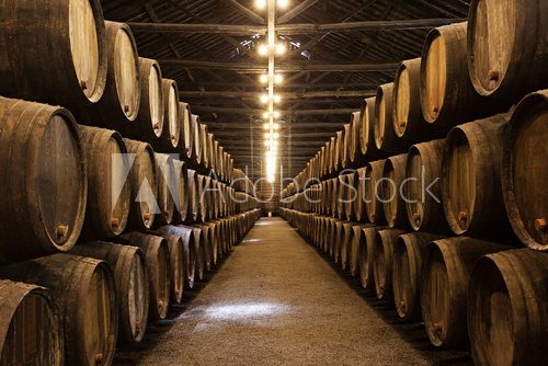 Fototapeta Wine cellar, Porto