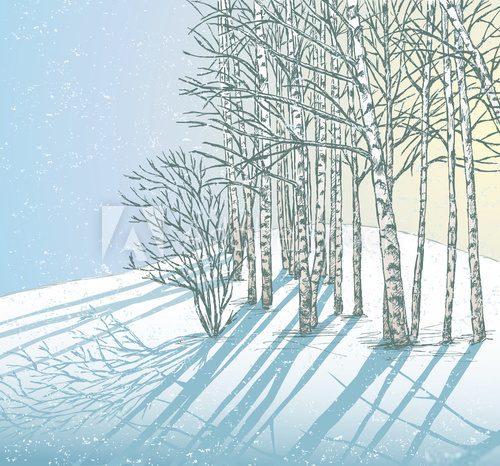 Fototapeta winter day