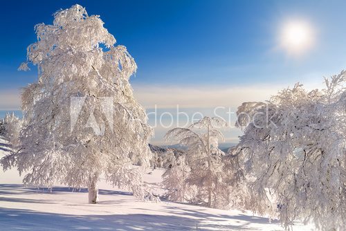Fototapeta Winter in the mountains