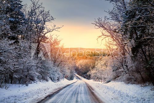 Fototapeta Winter road in forest