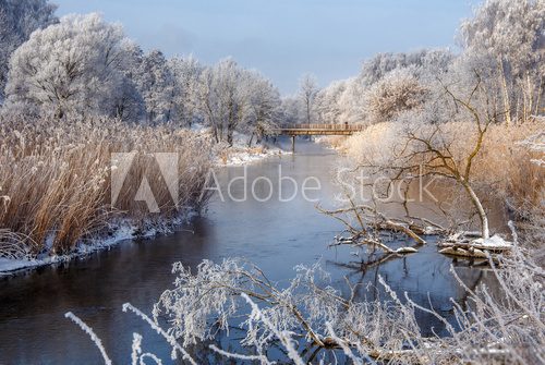 Fototapeta wonderful winter scene
