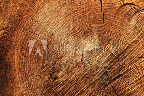 Fototapeta Wooden background