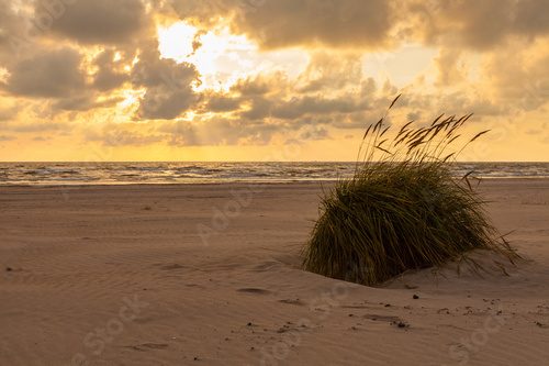 Fototapeta Zachód słońca nad dziką plażą