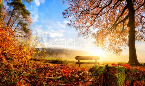 Fototapeta Zauberhafte Herbstszene