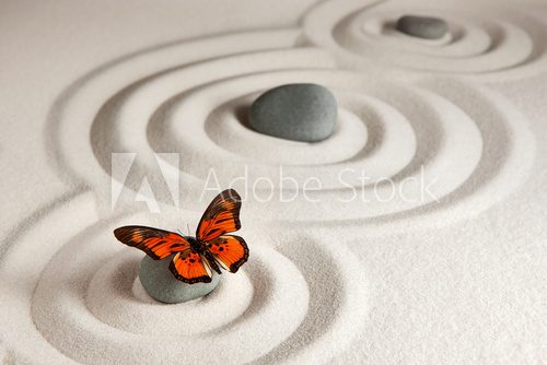 Fototapeta Zen rocks with butterfly