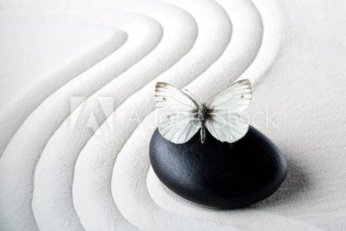 Fototapeta Zen stone with butterfly