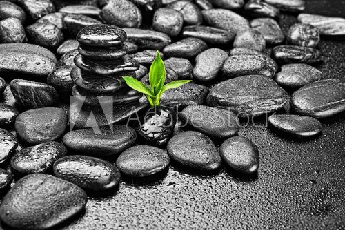 Fototapeta zen stones