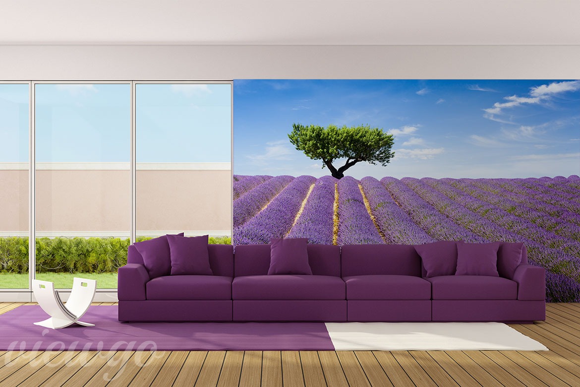 Aranżacja Fototapety Lawendowe pola