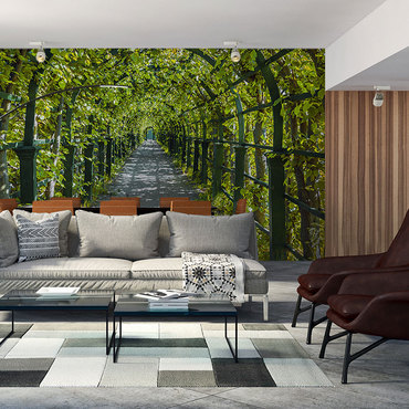 Aranżacja Fototapety Zielona pergola