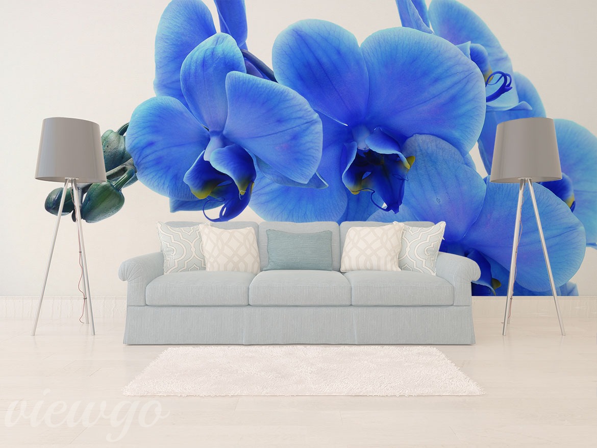 Aranżacja Fototapety W śnie niebieskiej orchidei